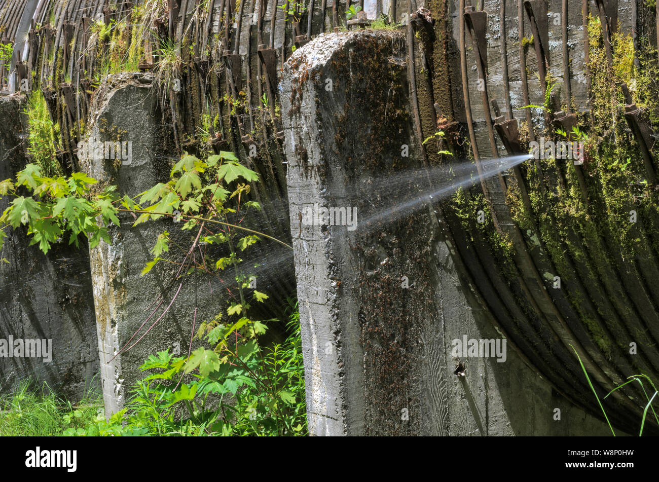 Sur le réservoir hydroélectrique North Umpqua River à Umpqua National Forest, à Soda Springs dans la gamme des Cascades, de l'Oregon. Fuite dans une conduite forcée en bois Banque D'Images