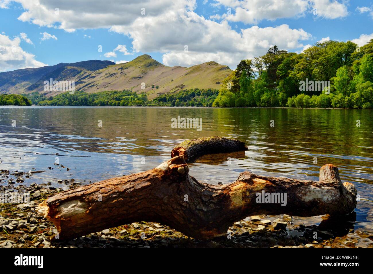 Vue sur Derwentwater vers Cat Bells Banque D'Images