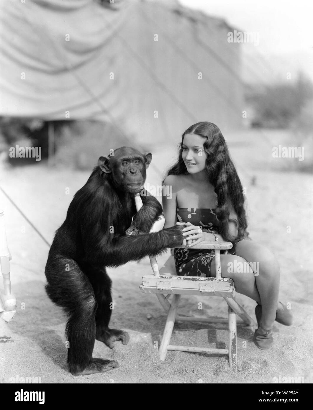 DOROTHY LAMOUR comme Tura avec JIGGS le chimpanzé comme Gaga sur-set location tournage candide à Palm Springs pour son amour de la jungle 1938 réalisateur George Archainbaud Costumes Edith Head Paramount Pictures Banque D'Images