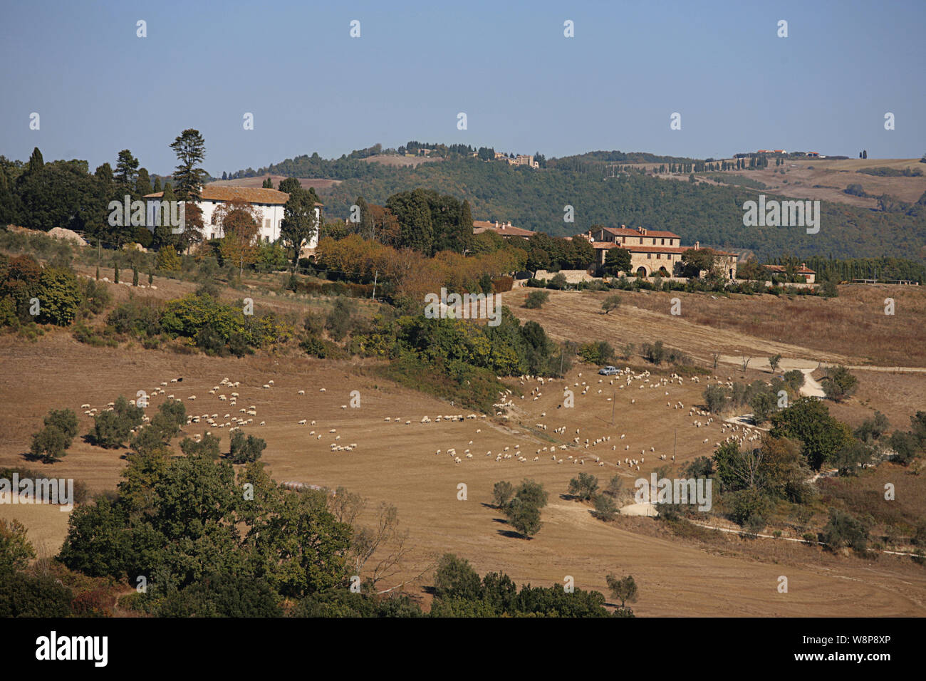 Communauté agricole sur la Route Nationale 68 près de Volterra, Toscane Banque D'Images