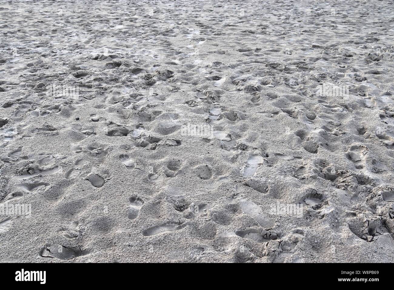 Vue Détaillée De Sable à La Plage De La Mer Baltique En
