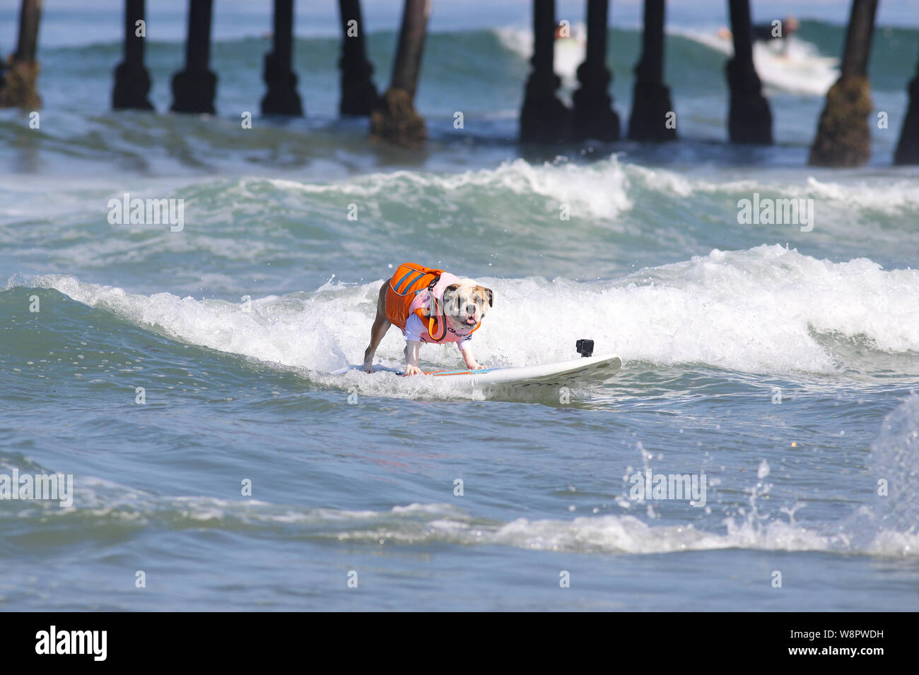 Imperial Beach, Californie, USA. 10 août, 2019. Rothstein, avec un sourire. Crédit : Ben Nichols/Alamy Live News Banque D'Images