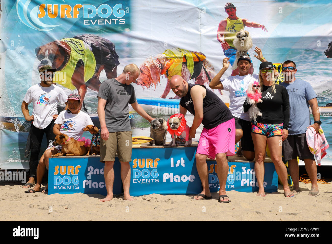 Imperial Beach, Californie, USA. 10 août, 2019. Gagnants du chien en tandem à la division Imperial Beach Surf Dog la concurrence. 1ère et 2ème Brandy Cherie Giselle et Rusty et Dudeman Flofy 3e Prince. Crédit : Ben Nichols/Alamy Live News Banque D'Images