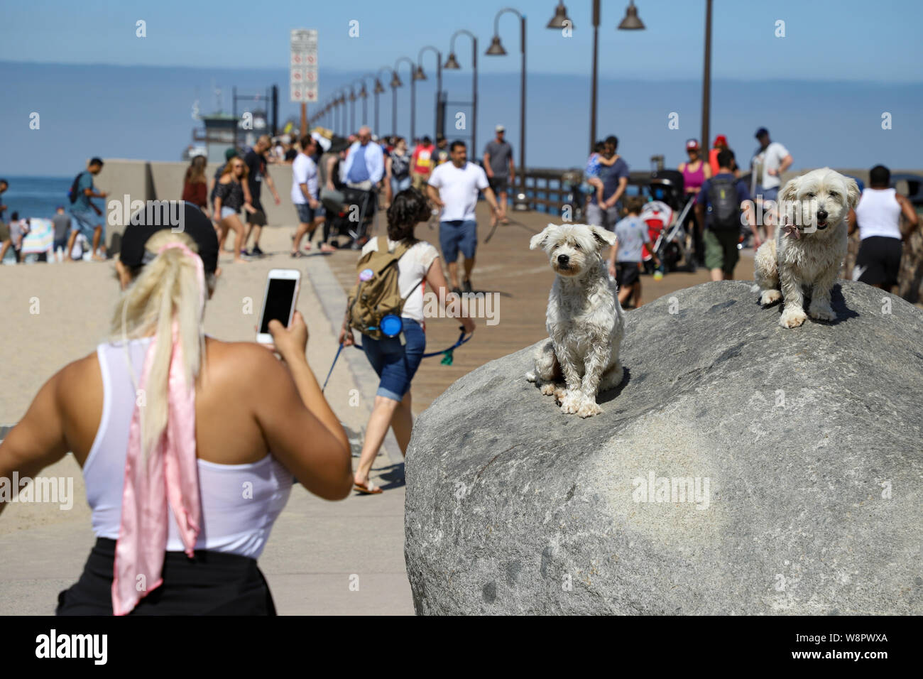 Imperial Beach, Californie, USA. 10 août, 2019. Dépêche-toi Maman nous voulons regarder les surfeurs à l'Imperial Beach Surf Dog la concurrence. Crédit : Ben Nichols/Alamy Live News Banque D'Images