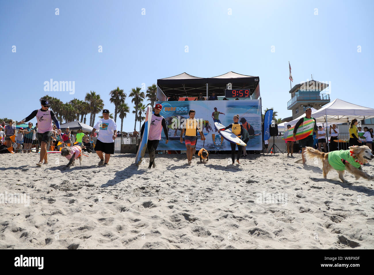 Imperial Beach, Californie, USA. 10 août, 2019. Hors des portes pour la chaleur de la numéro un très grand groupe à la 14e Conférence annuelle de l'Imperial Beach Surf Dog la concurrence. Crédit : Ben Nichols/Alamy Live News Banque D'Images