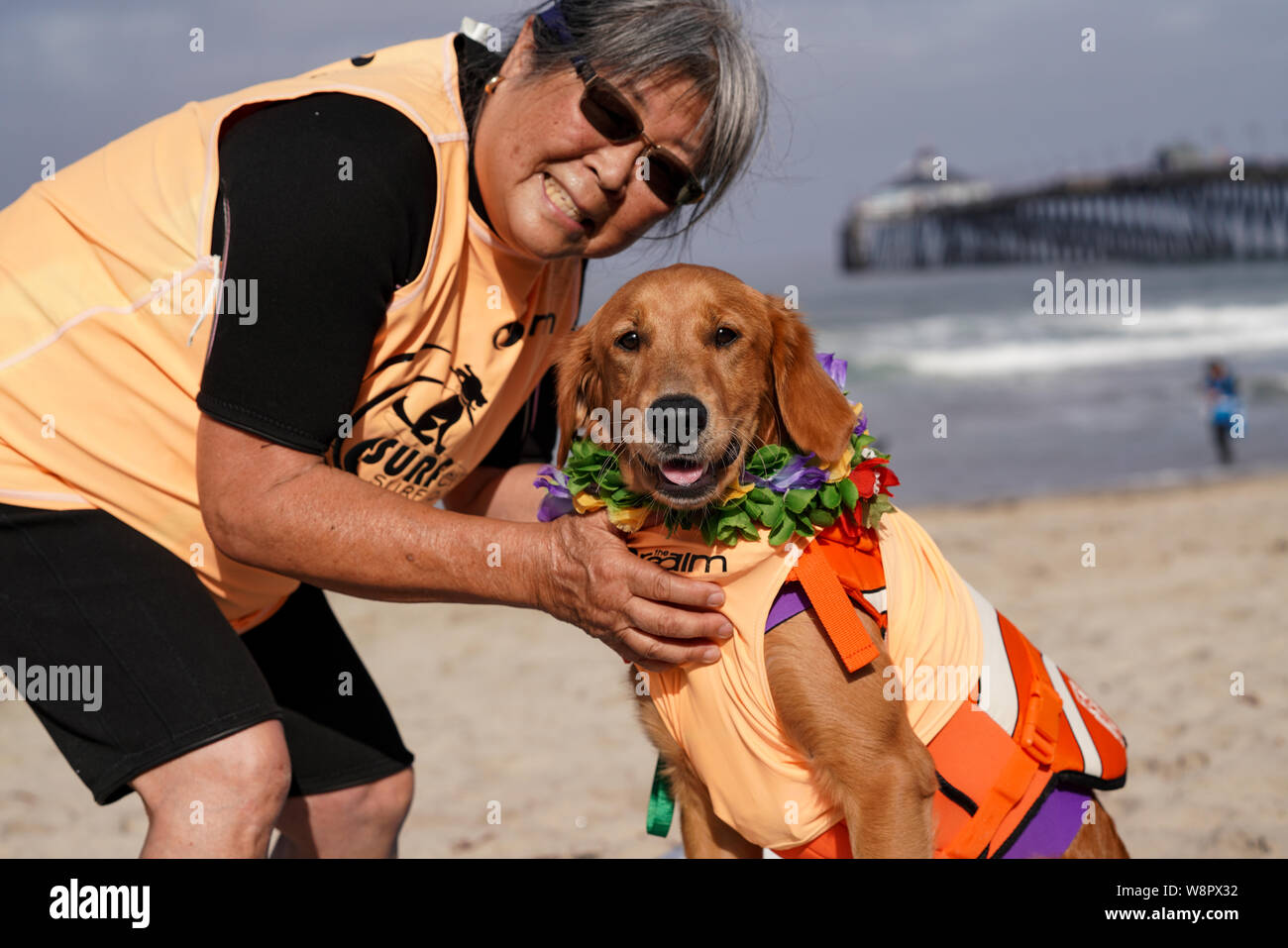 Imperial Beach, Californie, USA. 10 août, 2019. Le tsunami Tsuki golden est seulement six mois et concurrentes à l'Imperial Beach Surf Dog la concurrence. Crédit : Ben Nichols/Alamy Live News Banque D'Images