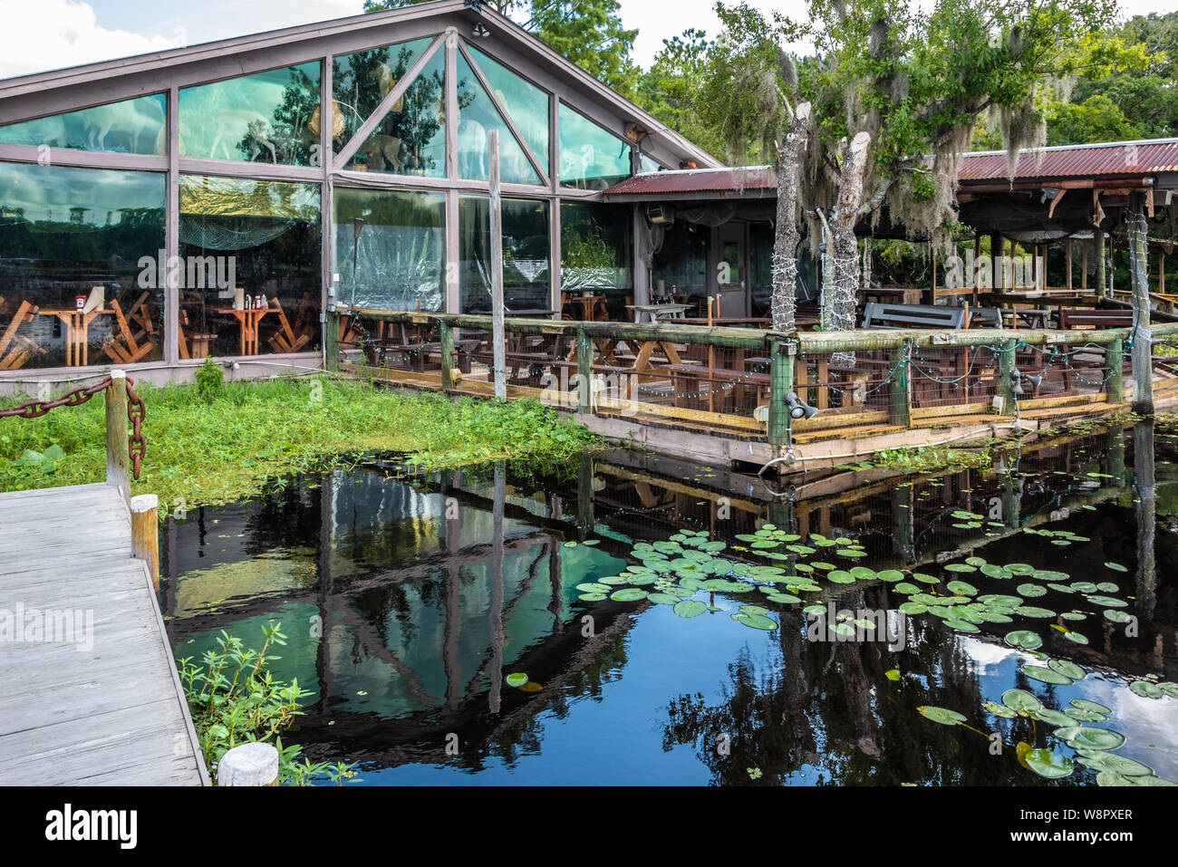 Clark's Fish Camp offre une expérience culinaire unique sur Julington Creek dans la région de Jacksonville, FL à la plus grande collection de taxidermie privée aux États-Unis. Banque D'Images