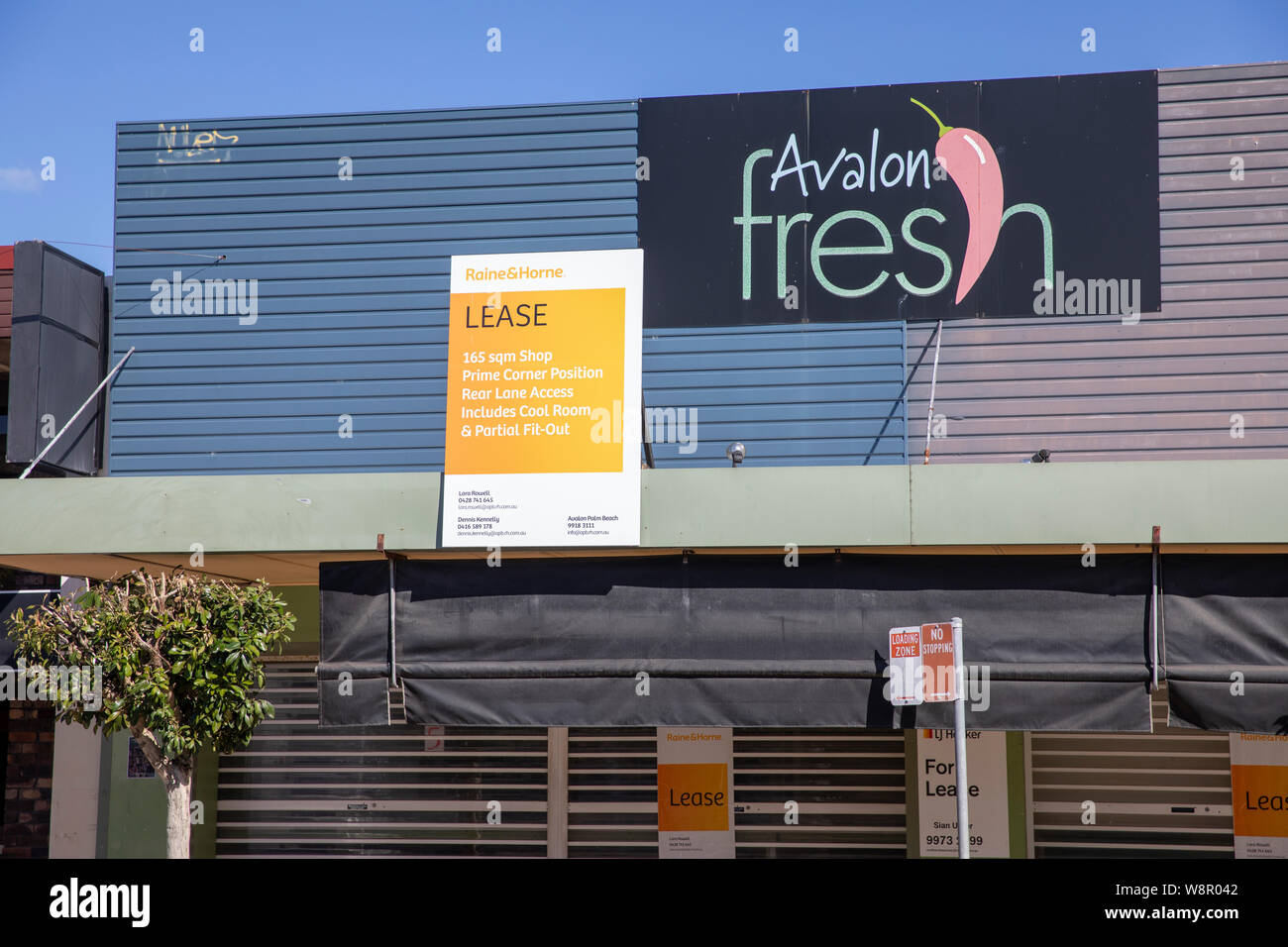 Unité de vente au détail magasin boutique australienne pour location louer à Avalon beach, Sydney, Australie Banque D'Images