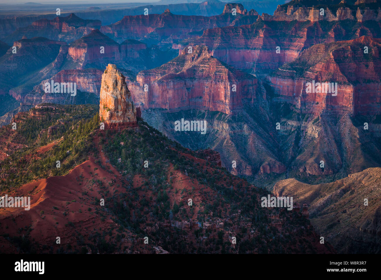 Lever du soleil au point de l'Imperial North Rim du Grand Canyon National Park, Arizona Banque D'Images