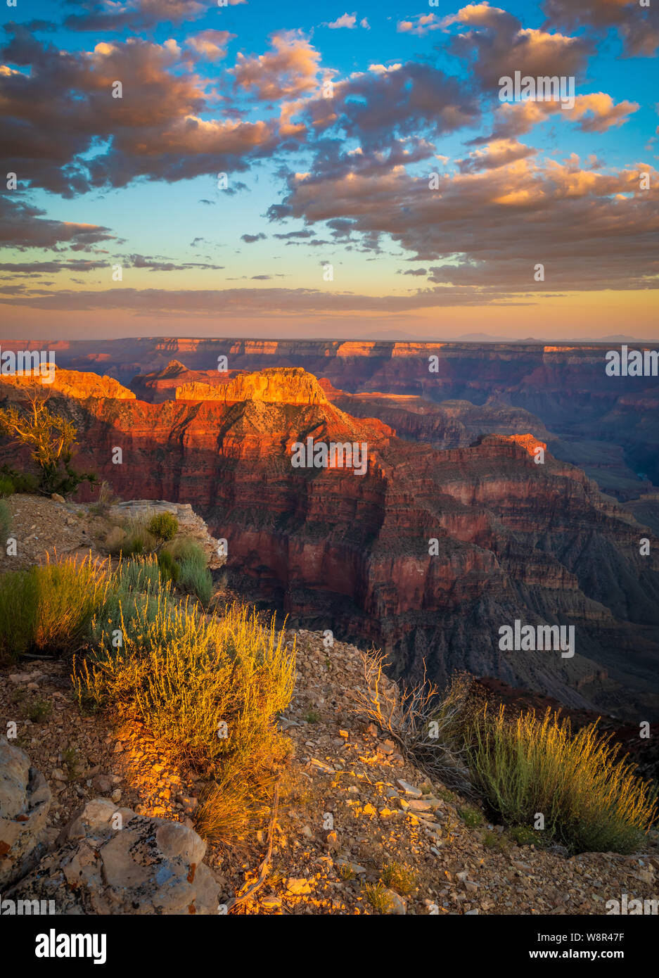 Point Sublime sur le bord nord du Parc National du Grand Canyon en Arizona, United States Banque D'Images