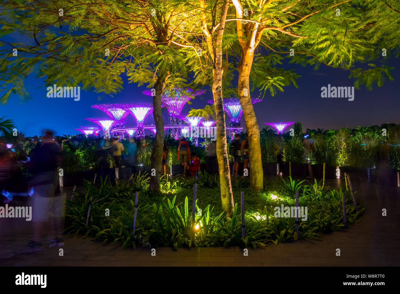 Soir à Singapour. Super les fleurs. Les touristes regarder un spectacle de musique et de lumière Banque D'Images