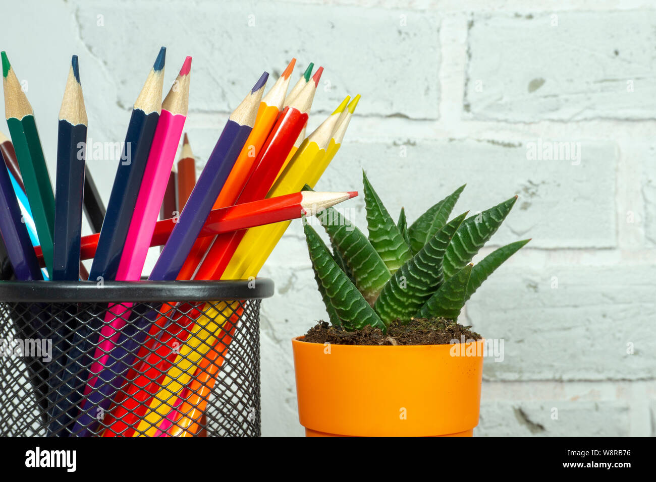 Retour à l'école avec des crayons colorés et concept plante en pot contre un mur en brique blanche avec copie espace libre Banque D'Images