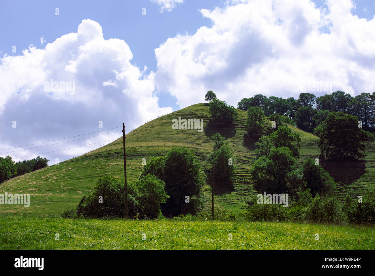 Green Meadow hill avec de petits arbres. Le bleu ciel nuageux. L'été idyllique paysage rural. Sur l'herbe verte fraîche Knoll. Green hill. La Suisse. Banque D'Images