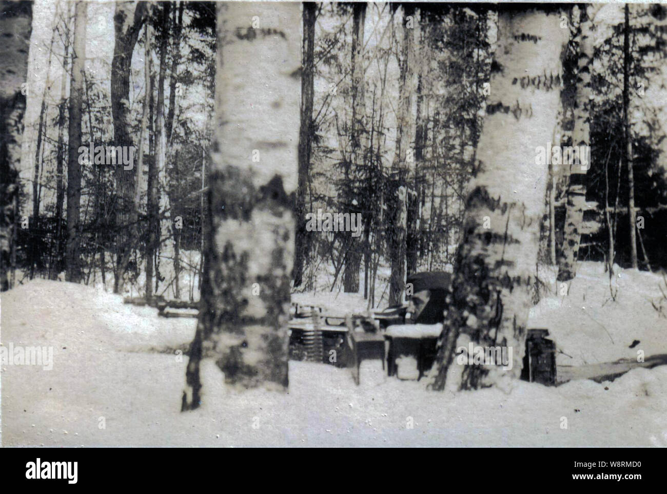 Soldat allemand tire un Machine Gun dans une forêt couverte de neige sur le front russe 1941 Banque D'Images