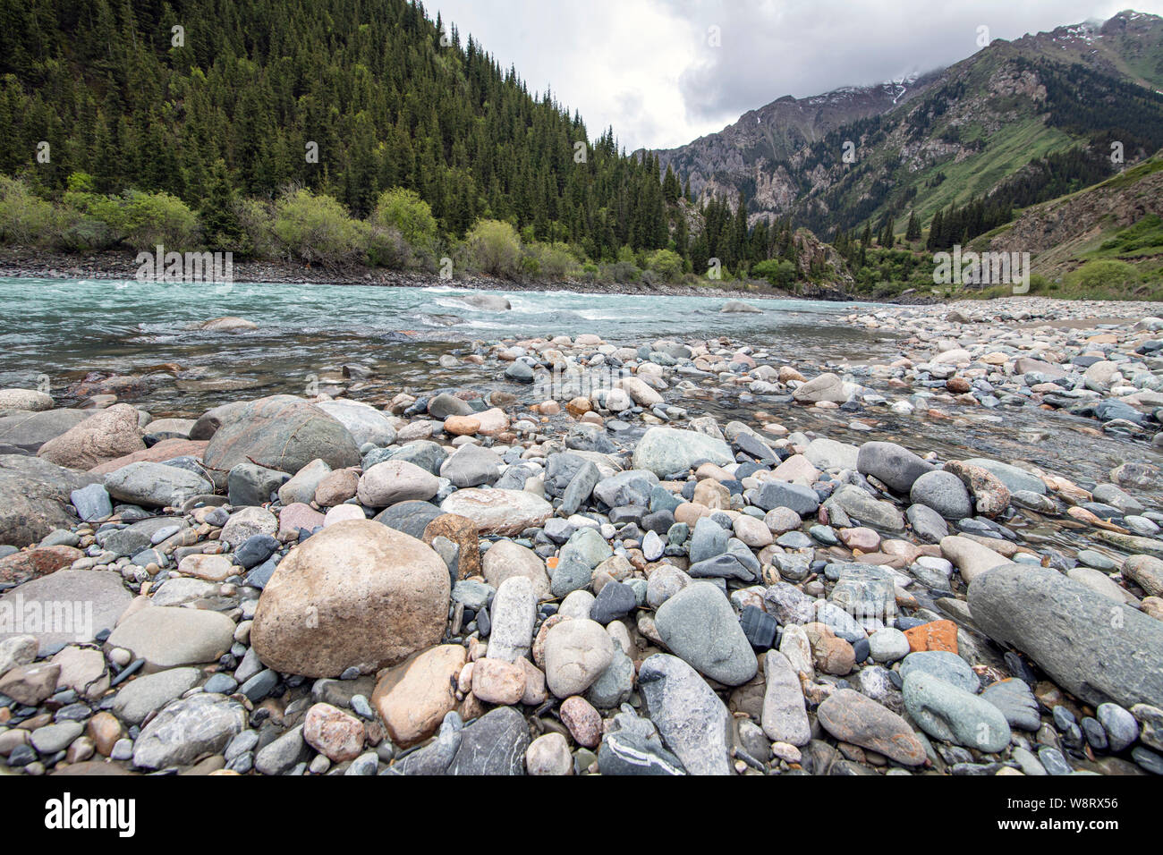 Rivière de montagne avec de l'eau turquoise avec une banque de galets gris sable et de pierres de tailles diverses qui coule dans une gorge vert avec la forêt de conifères. Banque D'Images