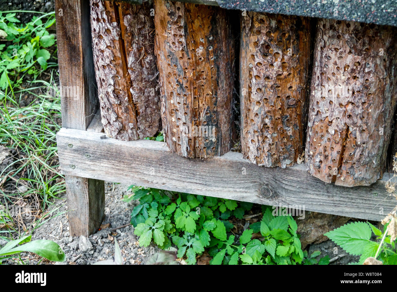 Garden Bug Hôtel fait de vieux troncs d'arbres, bois foré Banque D'Images