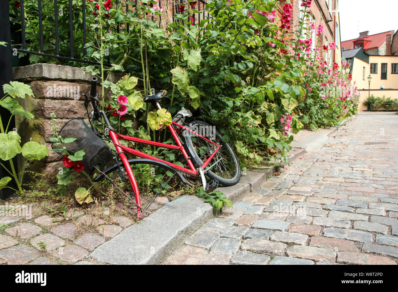 Le vélo rouge sans une roue avant est sur la rue dans la brousse et des fleurs. La roue était probablement volés par un voleur. Banque D'Images