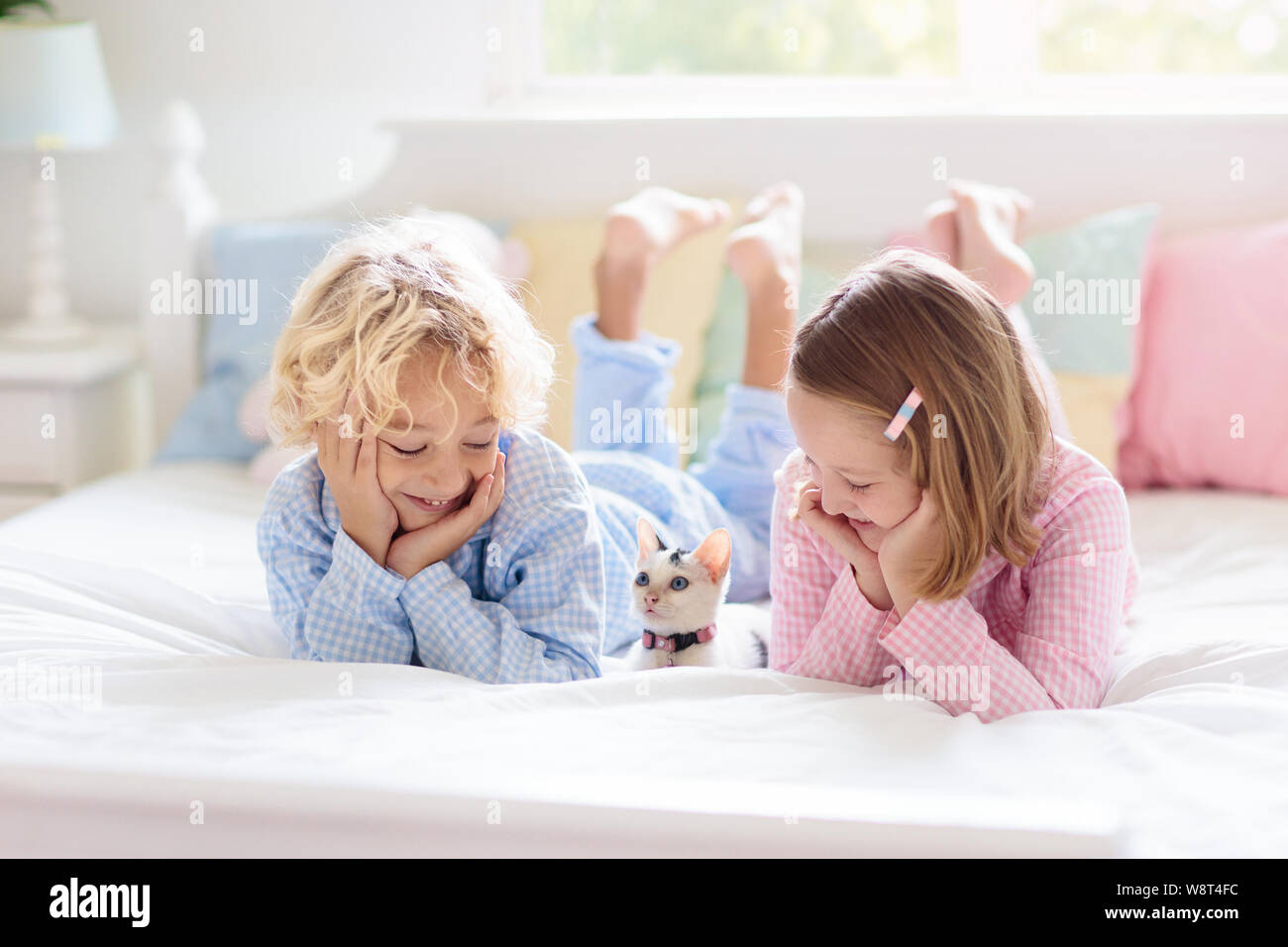 Les Enfants Jouent Avec Bebe Chat Dans Le Lit Dans La Chambre Blanche Kid Holding Chaton Blanc Petite Fille Et Garcon En Pyjama Avec Mignon Animal De Compagnie A La Maison Les Les Enfants Jouent Avec Bebe Chat Dans Le Lit Dans La Chambre Blanche Kid Holding Chaton Blanc Petite Fille Et Garcon En Pyjama Avec Mignon Animal De Compagnie A La Maison Les