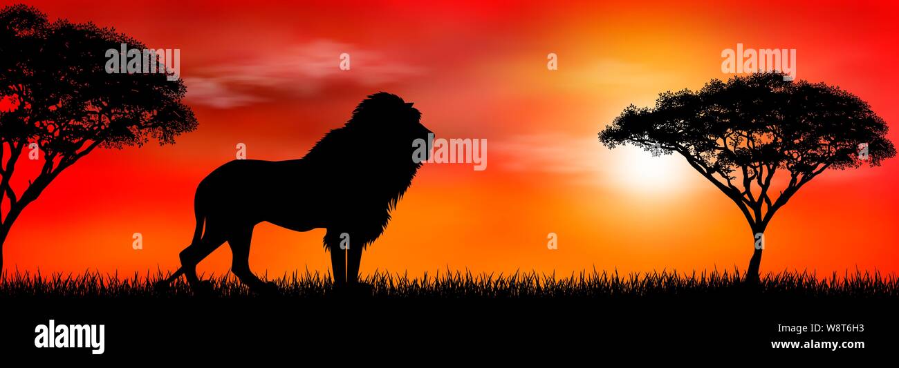 Lion Silhouette At Sunset Photos Lion Silhouette At Sunset