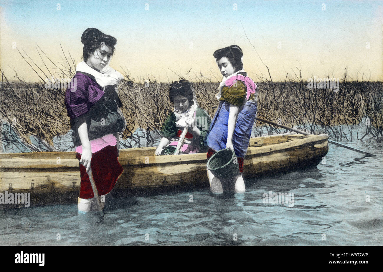 1900 - Japon ] Pêche japonaise des Femmes - Femmes en kimono traditionnels  et des fruits de mer sont