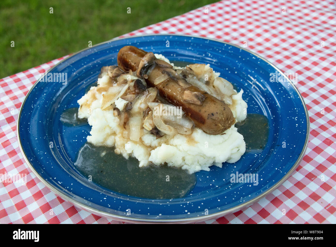 Gros plan sur la casse et les écraser la plaque avec les champignons sur une nappe en vichy rouge vérifier en camping, repas végétariens, végétaliens, Banque D'Images