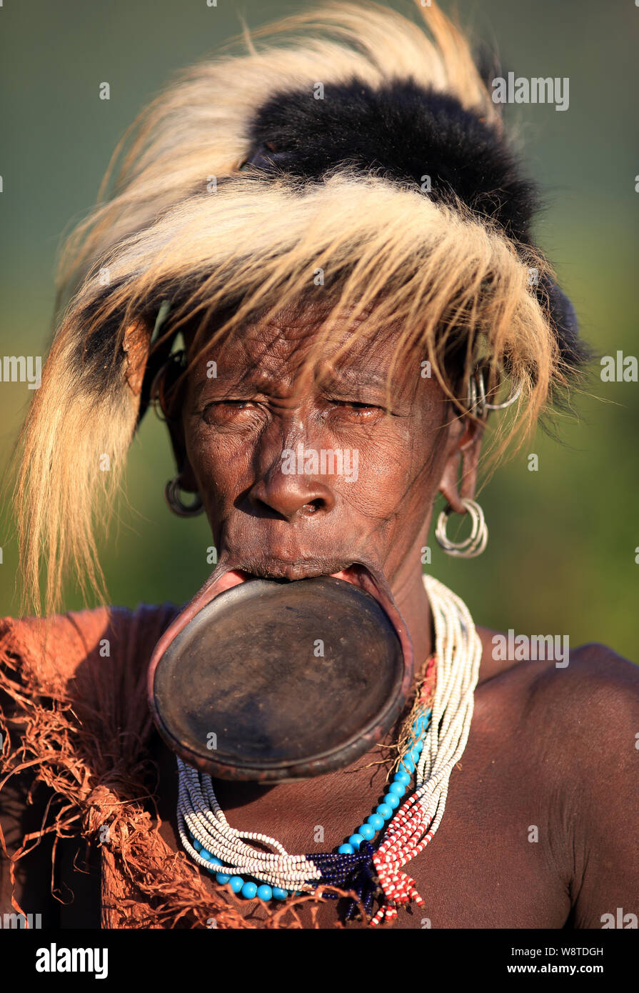 Femme lipplate avec suri dans le sud de l'Éthiopie, l'Omo. Un programme de réinstallation menace les tribus en Ethiopie. Banque D'Images