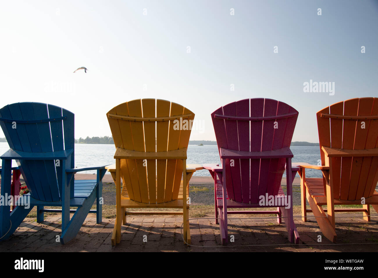 Adirondack chaises dans une rangée en été face au fleuve Saint-Laurent dans la ville de Clayton, comté de Jefferson, NY, États-Unis Banque D'Images