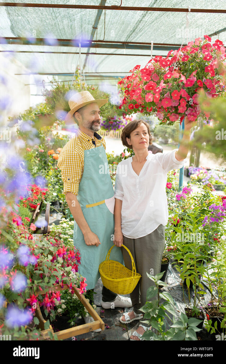 Deux vendeurs de fleurs contemporain à la recherche de nouvelles sortes de pétunia en pots Banque D'Images