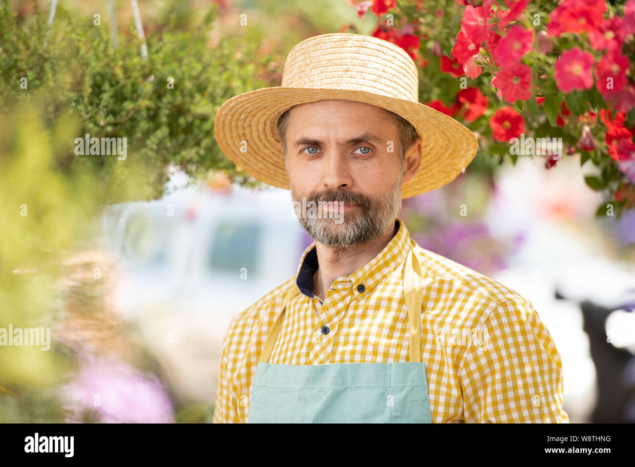 Jardinier à maturité en chapeau et tablier, debout parmi les fleurs en fleurs Banque D'Images