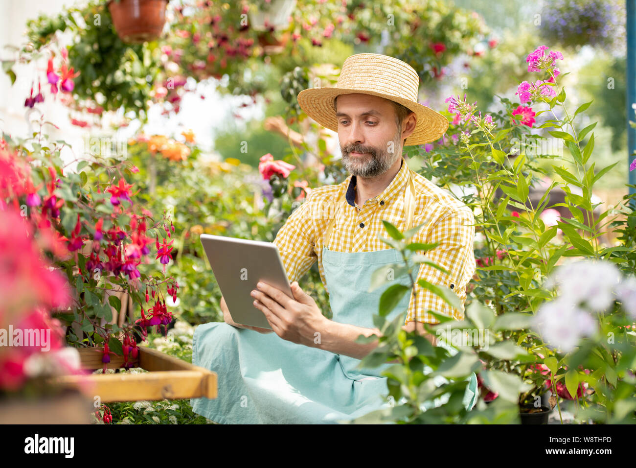 Jardinier à maturité en chapeau et des vêtements de travail assis parmi des fleurs Banque D'Images