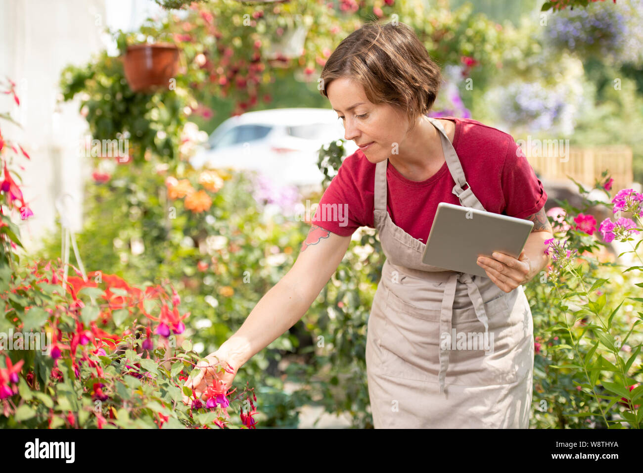 Jeune femme avec jardinier tablet se plier plus parterre Banque D'Images