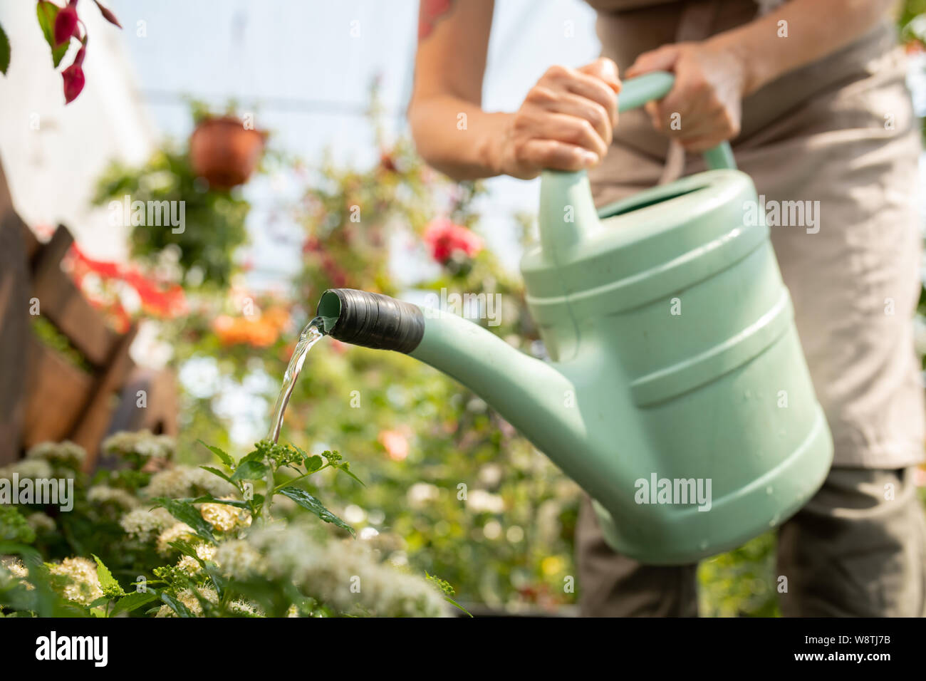Jardinage Parterres De Fleurs Femme Jardinier Travaillant Avec Des