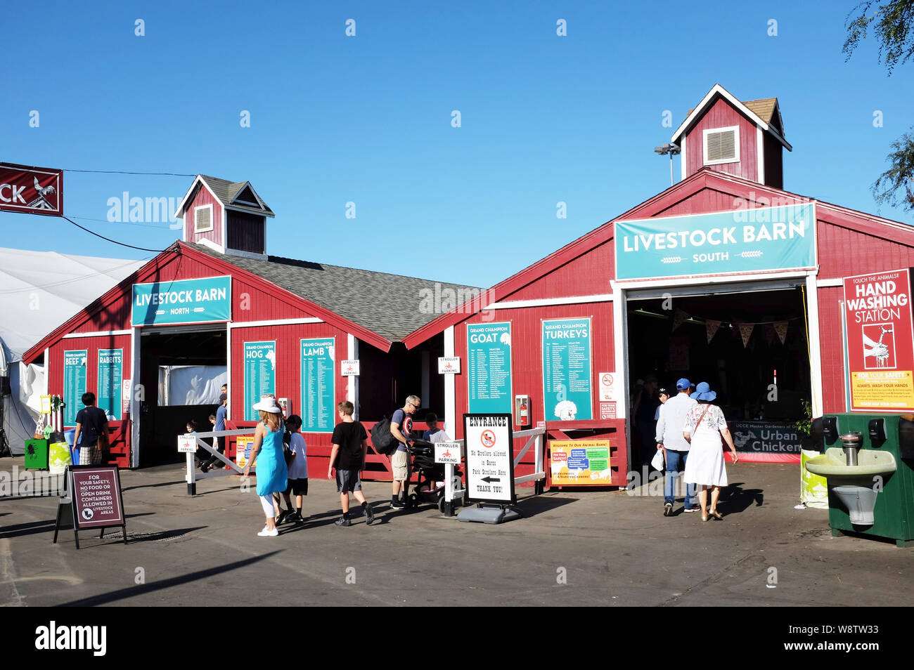 COSTA MESA, CALIFORNIE - Aug 8, 2019 : l'Amérique du Nord et du Sud l'étable à l'Orange County Fair. Banque D'Images