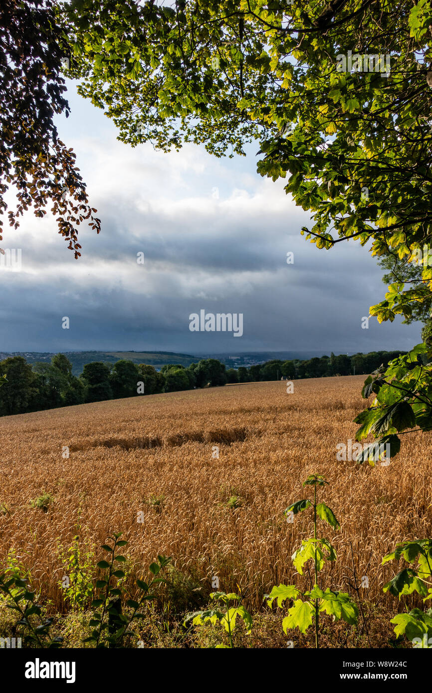 Les nuages de tempête dans la distance sur Sheffield, Angleterre Banque D'Images