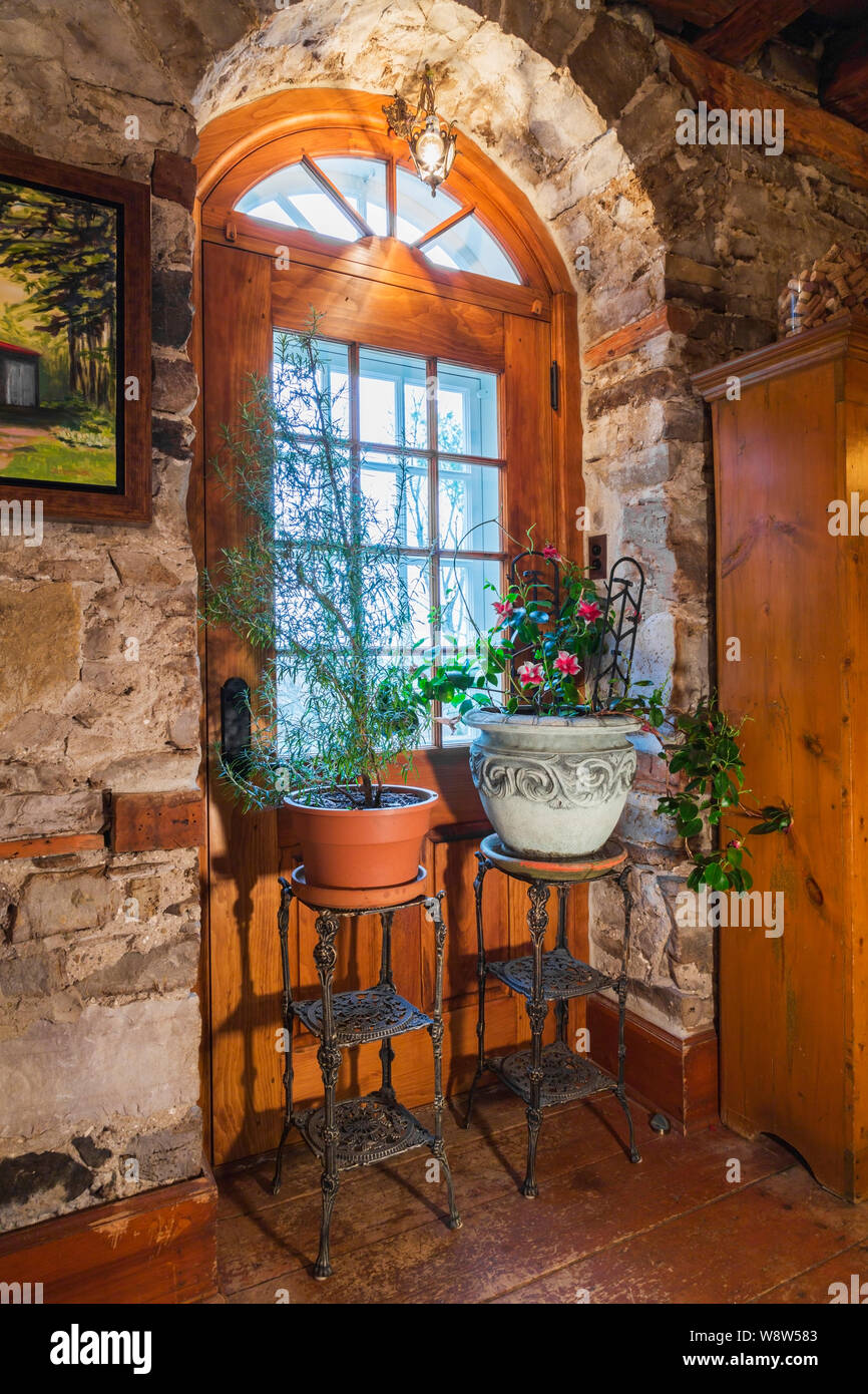 Sur les plantes en pot en fonte noire se tient juste en face de la porte d'entrée voûtée dans salon avec plancher en pin teinté à l'intérieur de vieux 1820 accueil Banque D'Images
