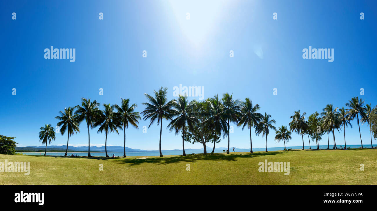 Vue panoramique de Rex Smeal Park à Port Douglas, l'extrême nord du Queensland, Australie, Queensland, FNQ Banque D'Images