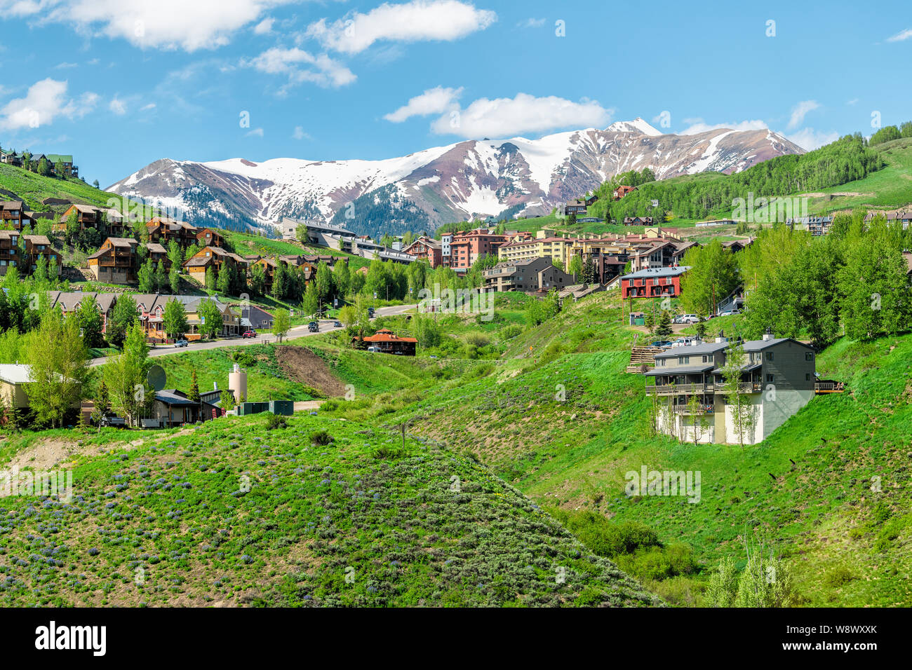 Mount Crested Butte, USA - 20 juin 2019 : Village de l'été avec l'herbe et colorés des maisons d'hébergement en bois sur des collines avec des arbres verts Banque D'Images
