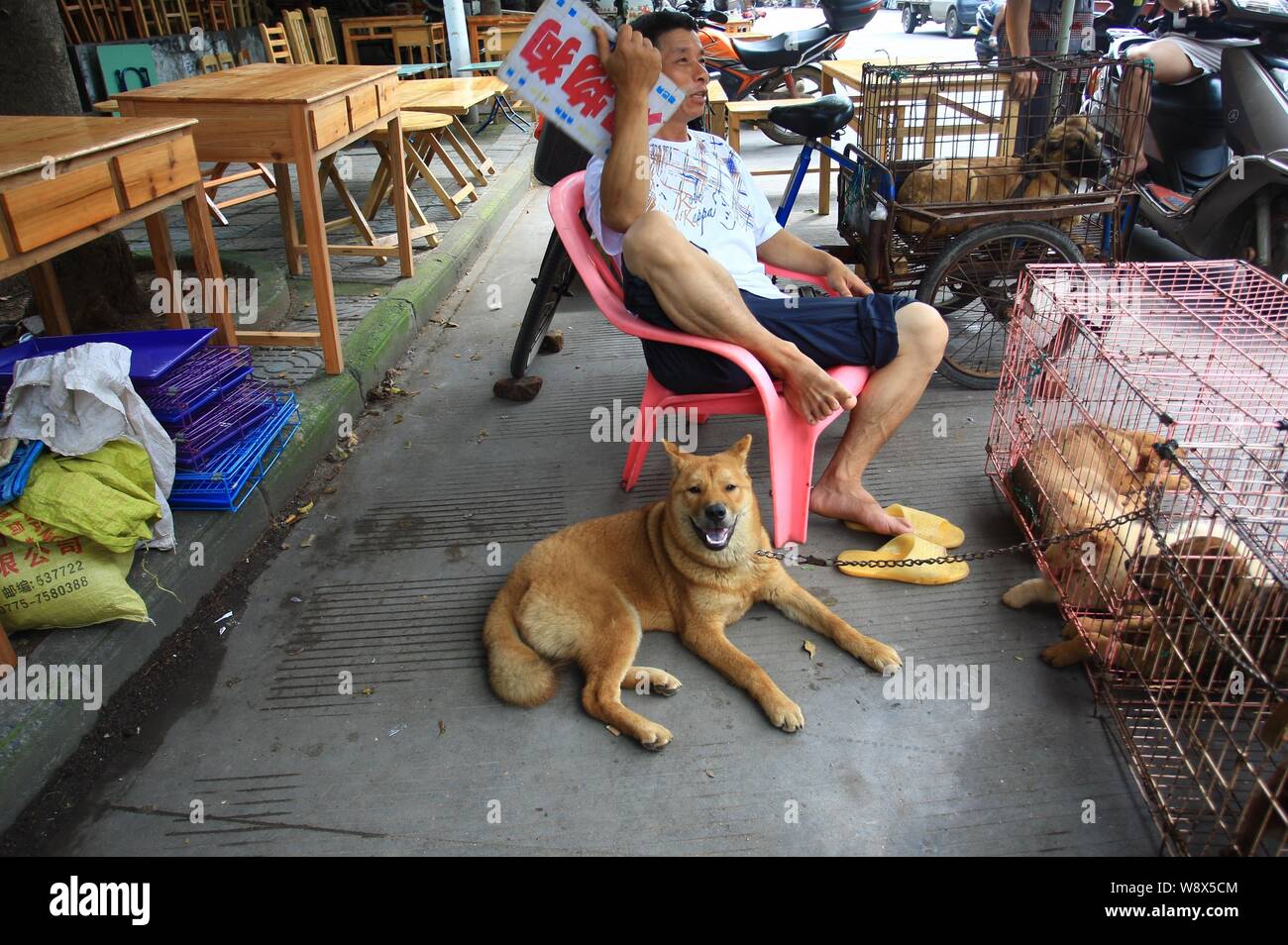 Les chiens sont en vente à un marché mis en place dans le cadre de la préparation de la viande de chien festival à Yulin city, en Chine région autonome Zhuang du Guangxi, 20 juin 20 Banque D'Images