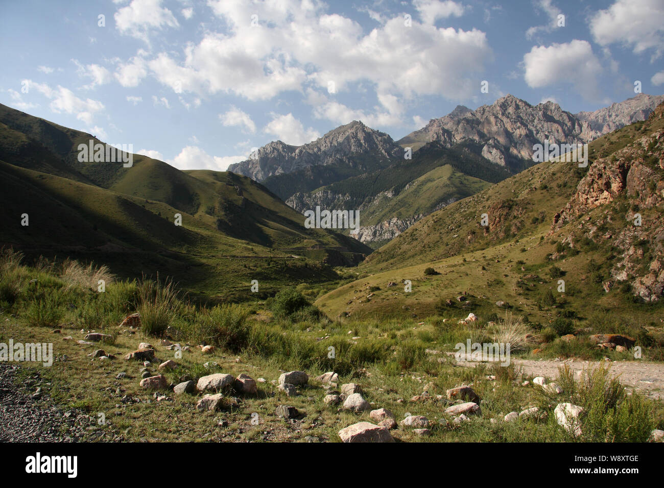 Montagnes du Kirghizistan. paysage. L'été. Banque D'Images