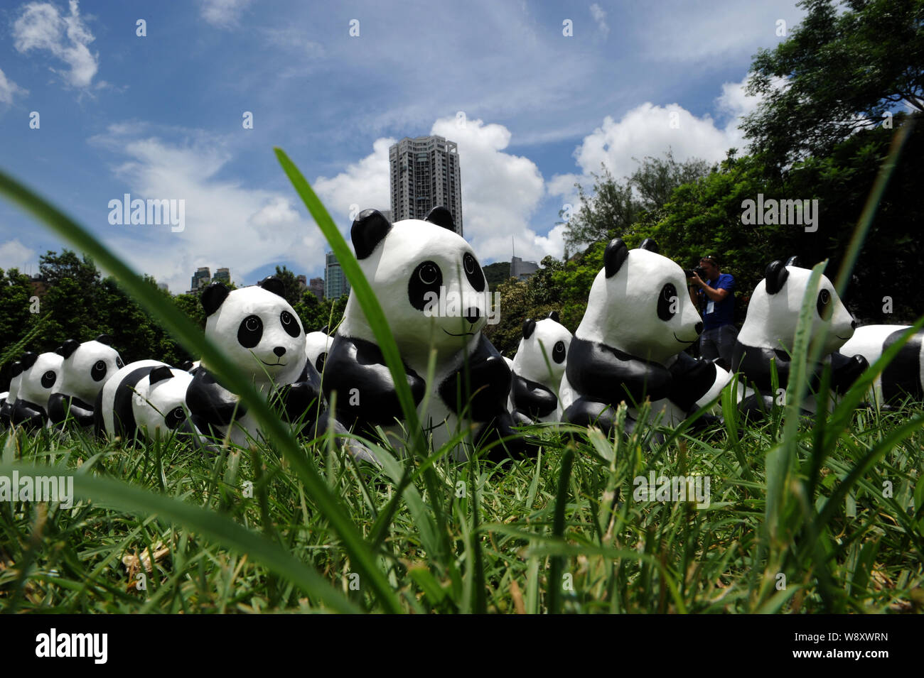 Une partie des 1 600 pandas en papier créé par l'artiste français Paulo Grangeon sont affichées au parc Victoria pendant la tournée mondiale 1600 Pandas en exposition Banque D'Images