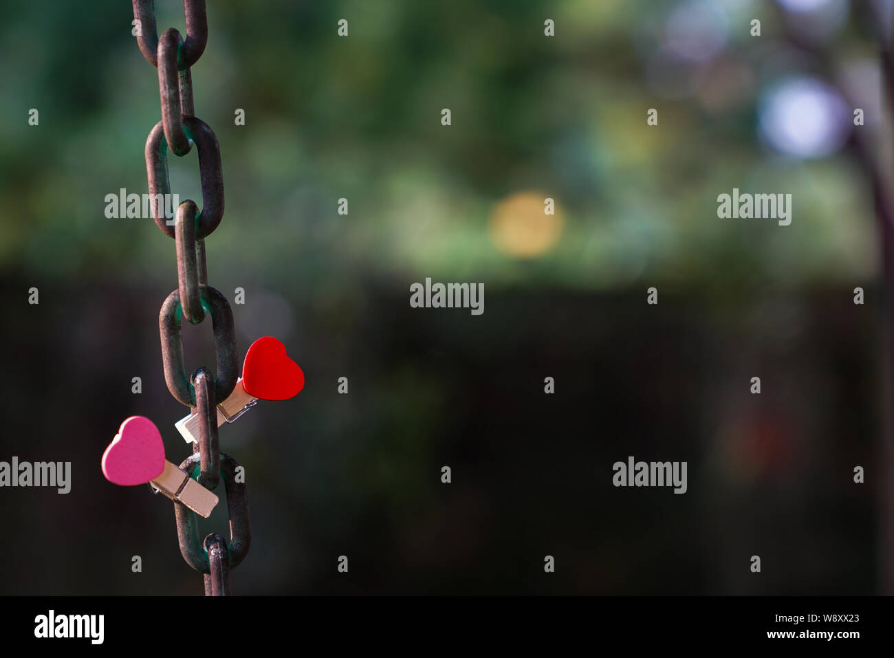 Love concept : deux clips rouge et rose avec forme de coeur sur une chaîne en acier avec jardin ou fond vert Banque D'Images