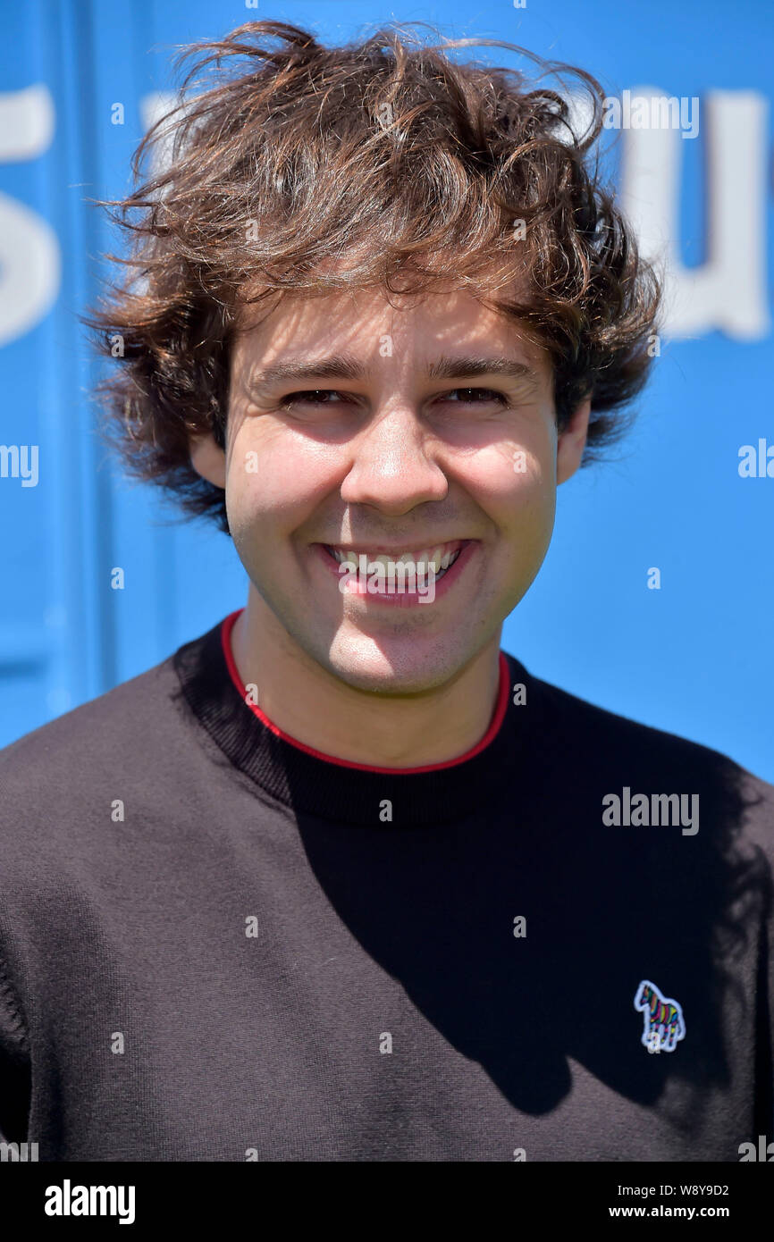 Los Angeles, USA. 10 août, 2019. David Dobrik lors de la première du film 'Le film Angry Birds Angry Birds/2 2 - Le film' au Westwood Regency Theatre. Los Angeles, 10.08.2019 | Conditions de crédit dans le monde entier : dpa/Alamy Live News Banque D'Images