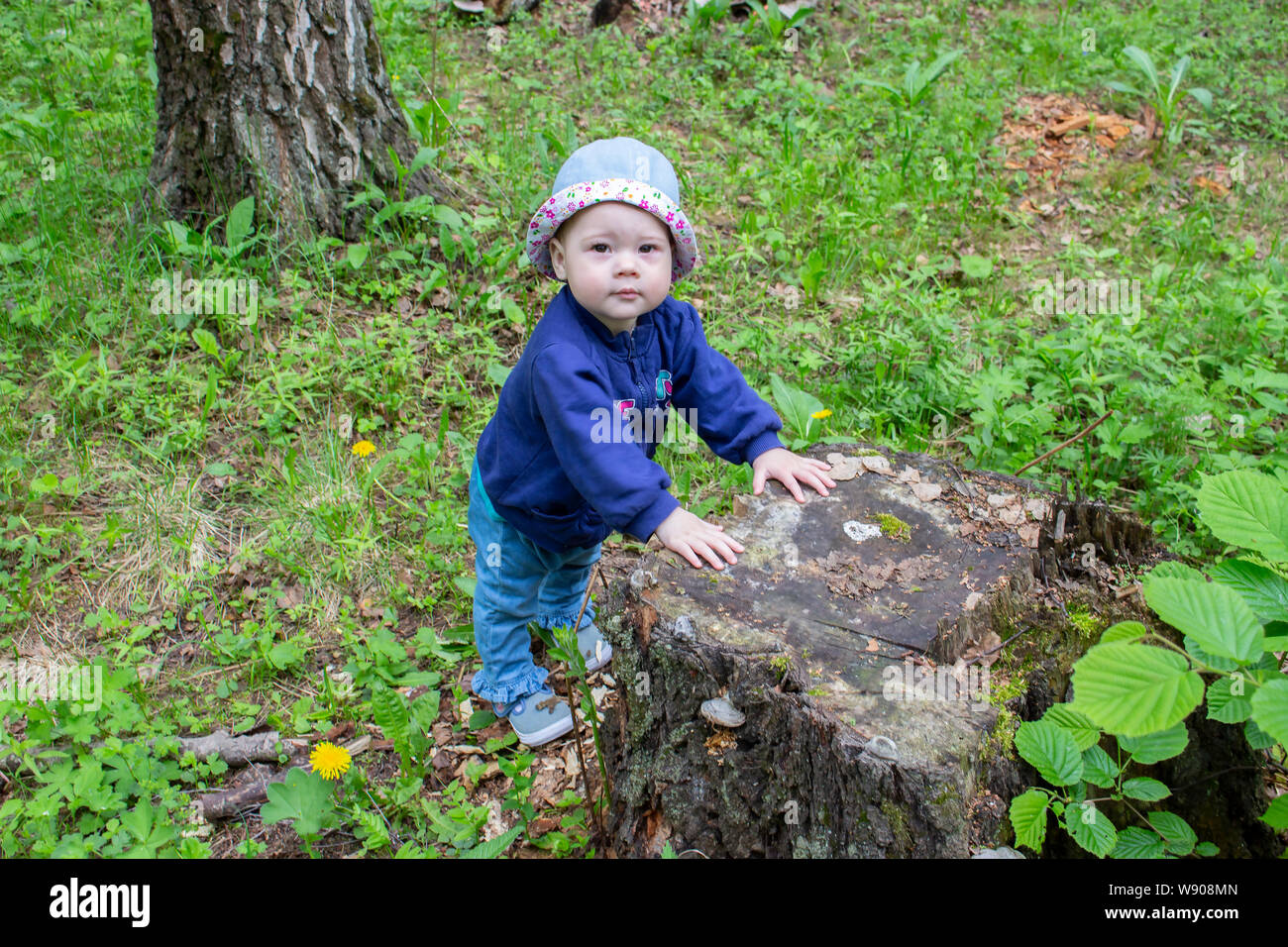 Bébé fille 8-9 mois marche à travers les bois, l'apprentissage de la  marche, la tenue à la souche. Petite fille en jeans et un chapeau dans la  forêt sauvage, à l'extérieur Photo