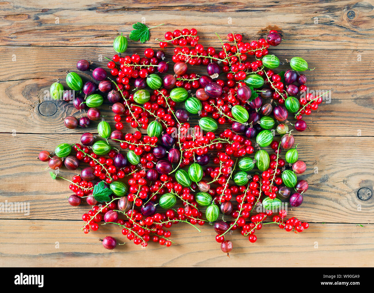 Vue descendante de feuilles vertes et rouges fraîchement récolté les fruits de cassis, de groseille rouge et verte sur la table en bois. Fond d'aliments biologiques. Banque D'Images