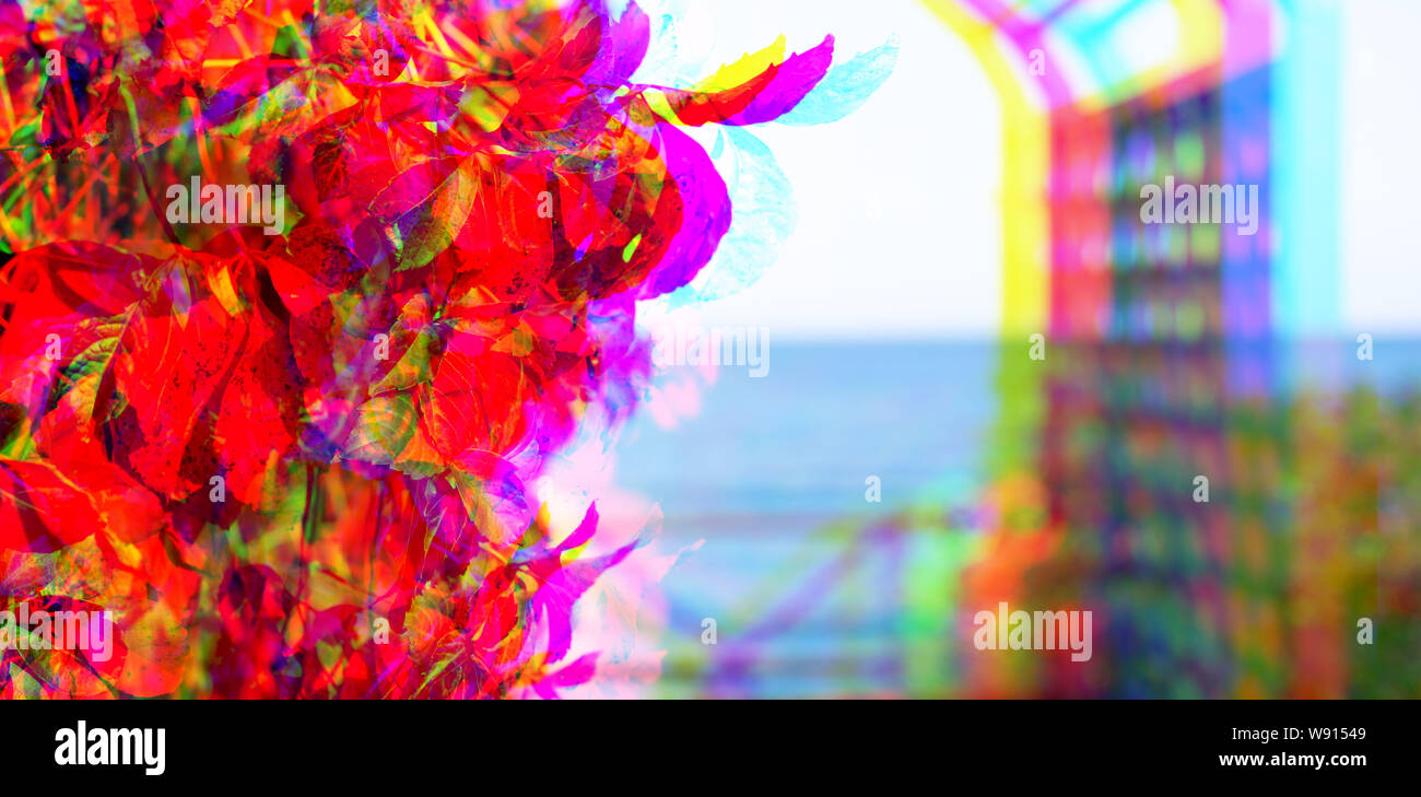 L'effet glitch. Paysage d'automne gazebo par mer Bush feuilles sont rouge. Nature background Banner Banque D'Images