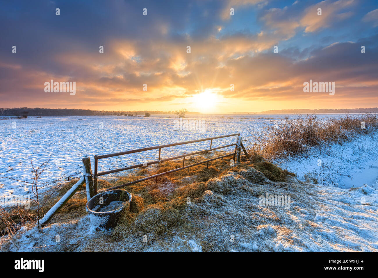 Un paysage d'hiver avec la neige et la lumière d'hiver chaud avec une clôture et un champ en premier plan - Drenthe, Pays-Bas Banque D'Images