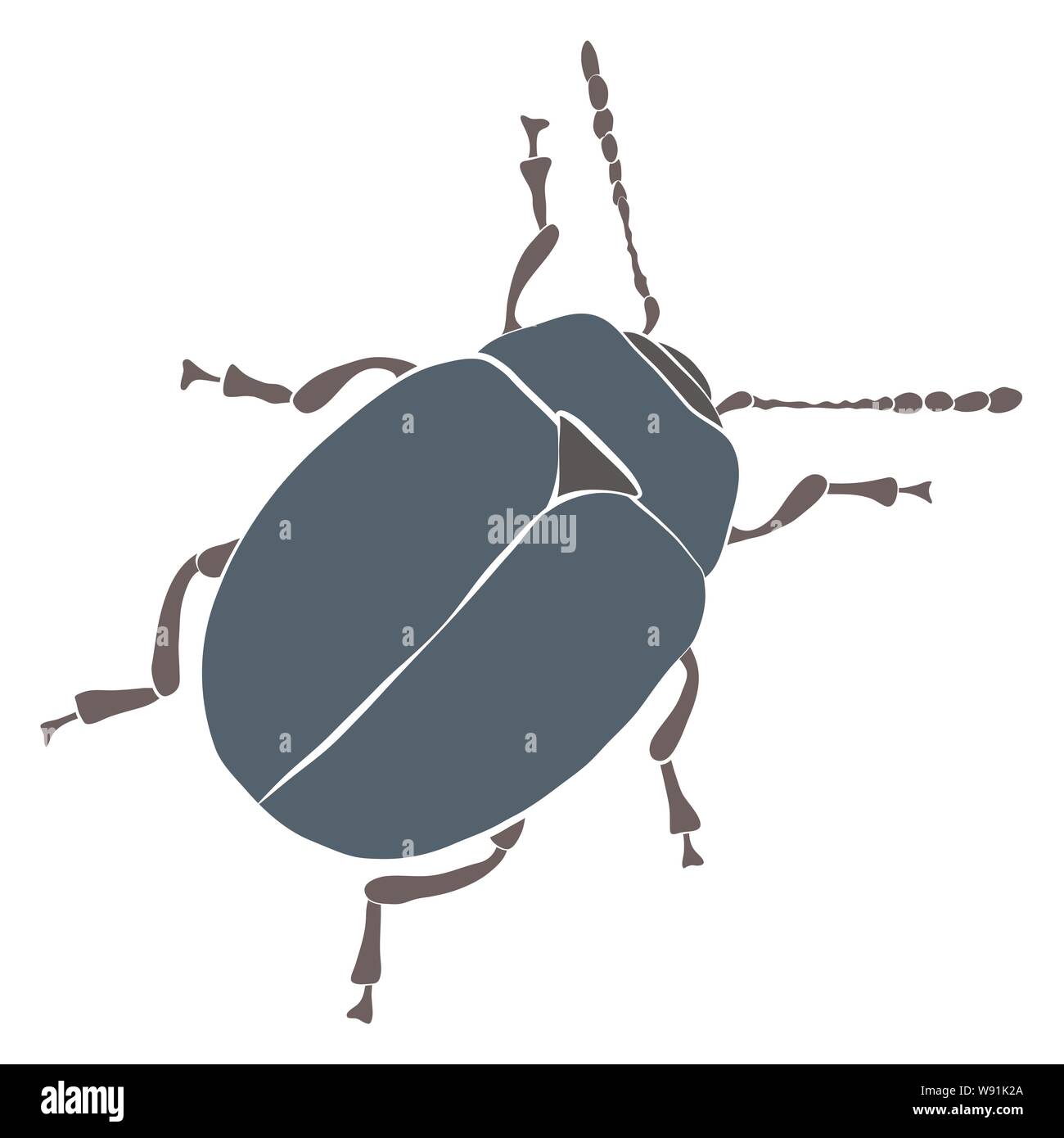 Vector illustration de blue beetle. Altica oleracea Illustration de Vecteur