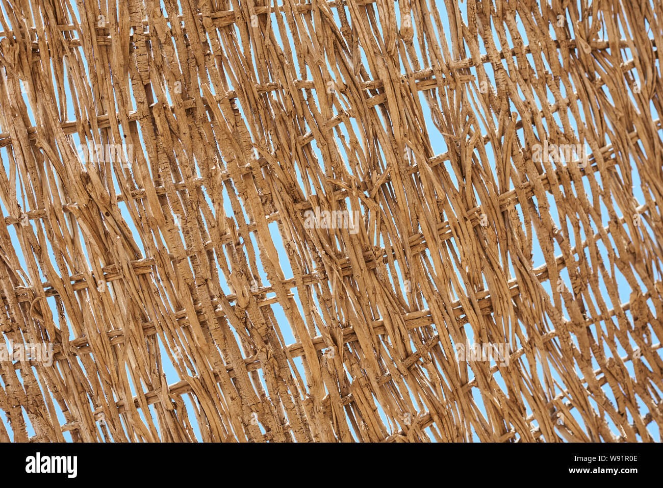 Abstract pattern texture comme arrière-plan, jusqu'cose Banque D'Images