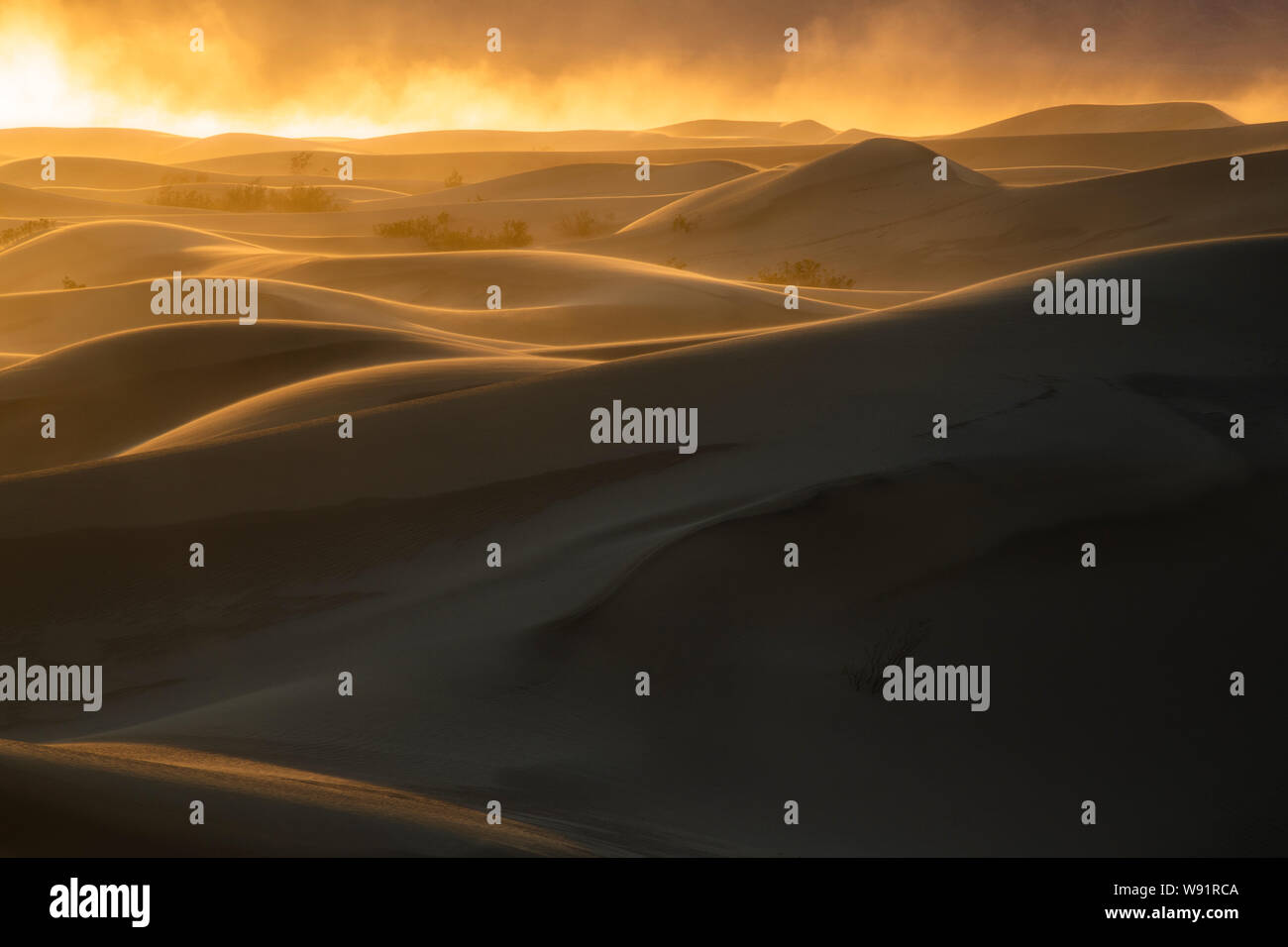 Tempête de sable au coucher du soleil, Mesquite Dunes, Death Valley National Park, Californie Banque D'Images