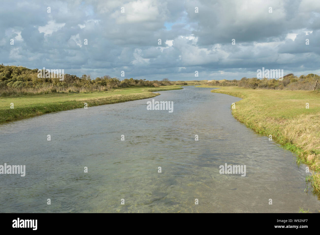 Canal dans l'écosystème des dunes de sable sur la côte nord de la Hollande. Aux Pays-Bas. Banque D'Images